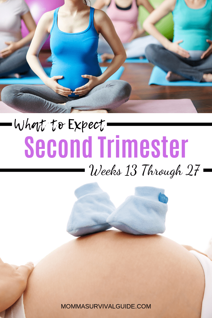 What to Expect in the Second Trimester