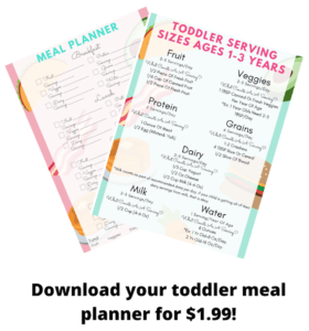 Healthy-Toddler-Meals